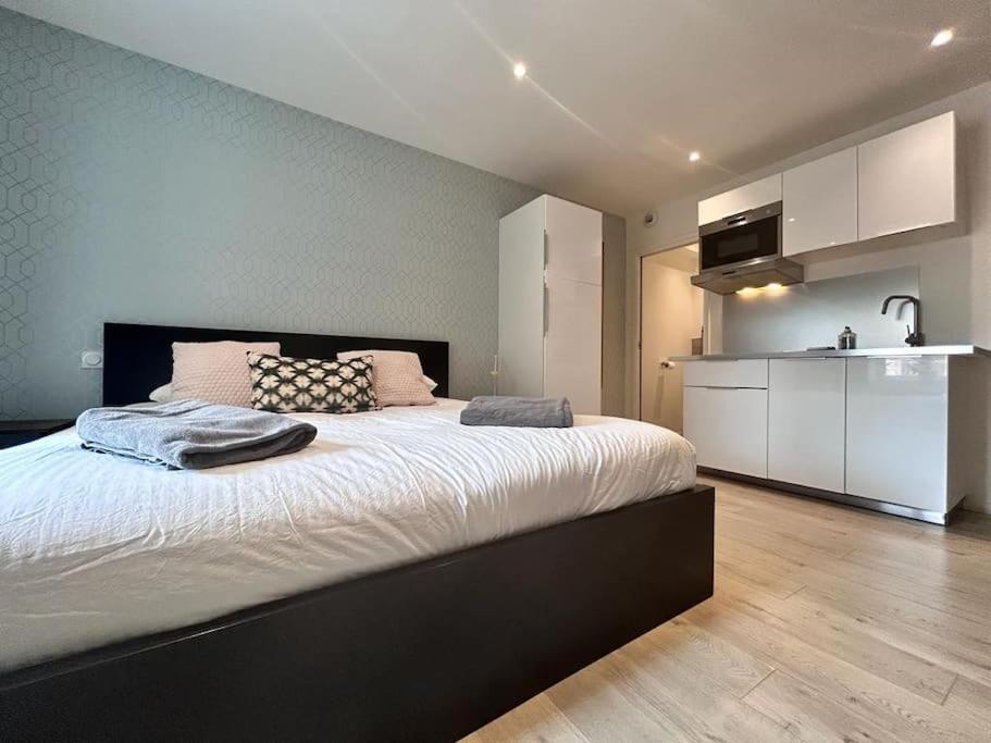 Appartement Maison Hyper Centre Maxi 20pers Tour D'auvergne